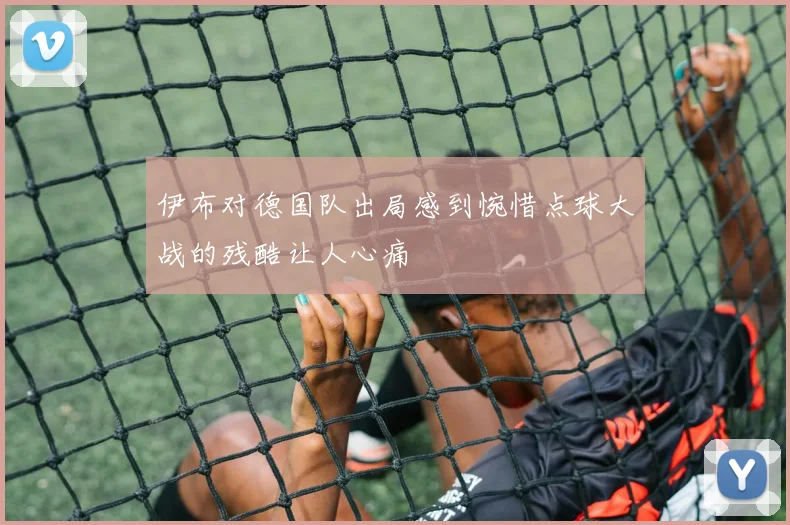 伊布对德国队出局感到惋惜点球大战的残酷让人心痛